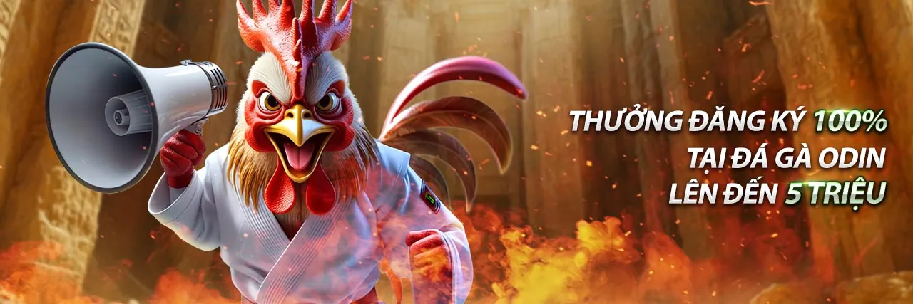 Trường gà Sen88 với các trận đấu kịch tính